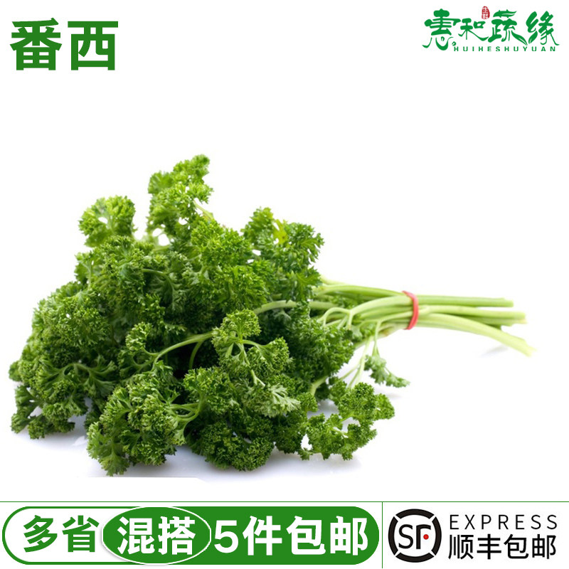 新鲜番西法国香芹荷兰欧