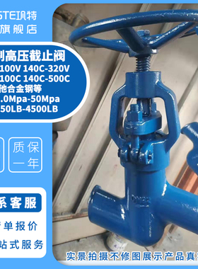 高温高压铬钼钒合金钢抗冲刷截止阀KJ61Y-P54 P57 100V 140V 170V