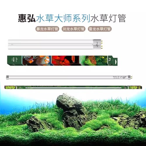 惠弘水草大师暴龙剑雷鱼