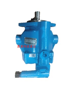 新款邵阳维克PVB6-LSW/RSW/LS/RS/LSY/RD/RDY-20-CMC-11-PRC 包邮