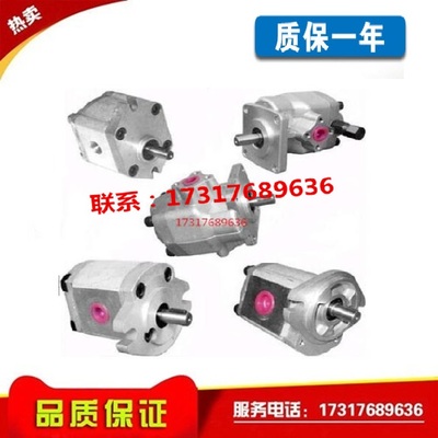 新款台湾齿轮泵P101/2456