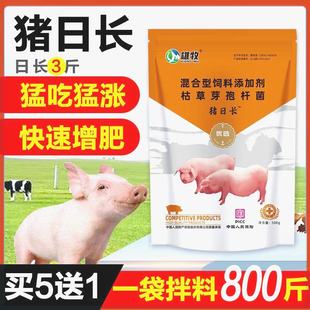 雄牧猪日长快速出栏猪用催肥增重育肥猪饲料添加剂猪猛长猪预混料