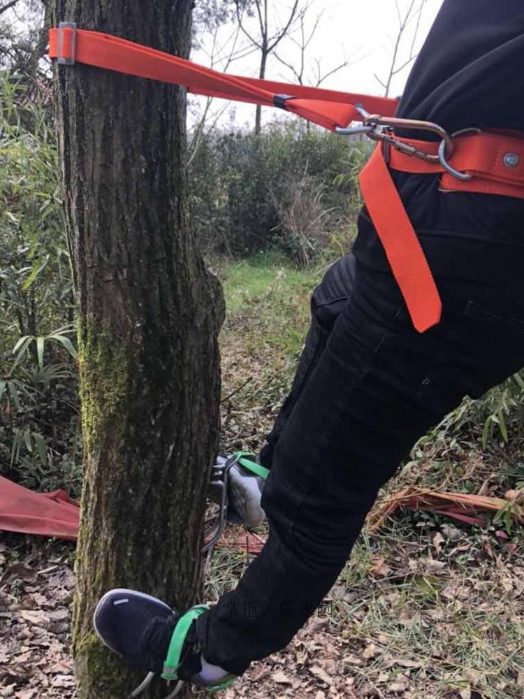 新款五抓上树专用工具爬树神器抓马蜂不锈钢猫爪防滑加强铁鞋脚扎