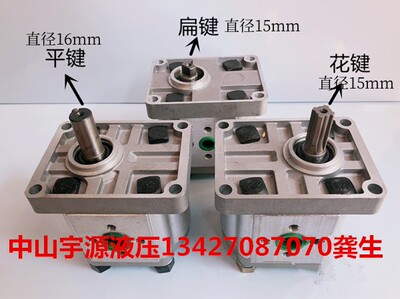 高压齿轮泵CBN-F304 F306 F308 F310 F314 CBN-F316 E306 310 316