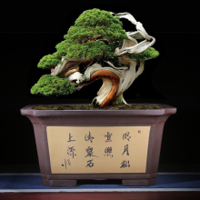 长方形紫砂花盆家用种树盆栽盆中国风花卉绿植长盆大口径深高花盆