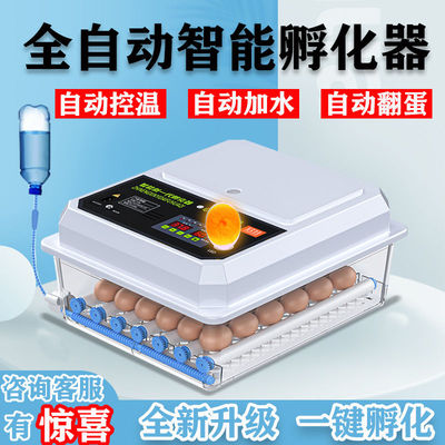 孵化器全自动小型家用蛋