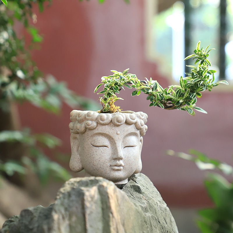 禅意多肉花盆情绪稳定佛