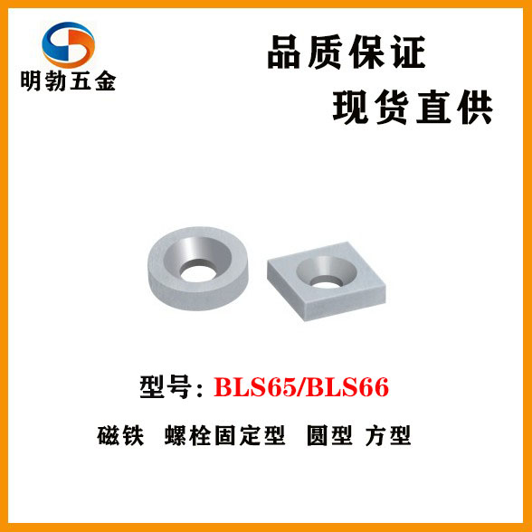 BLS65/BLS66-A8/A10/12/15/20/25-T2/3/4/5/5.5/6磁铁螺栓固定型