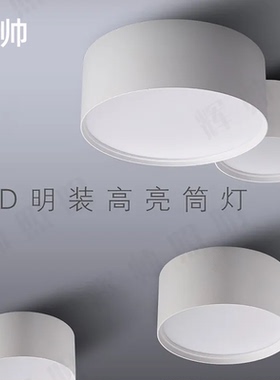 辉帅明装筒灯 LED明装筒灯9W15W18W30W过道灯吸顶式免开孔2218-9E