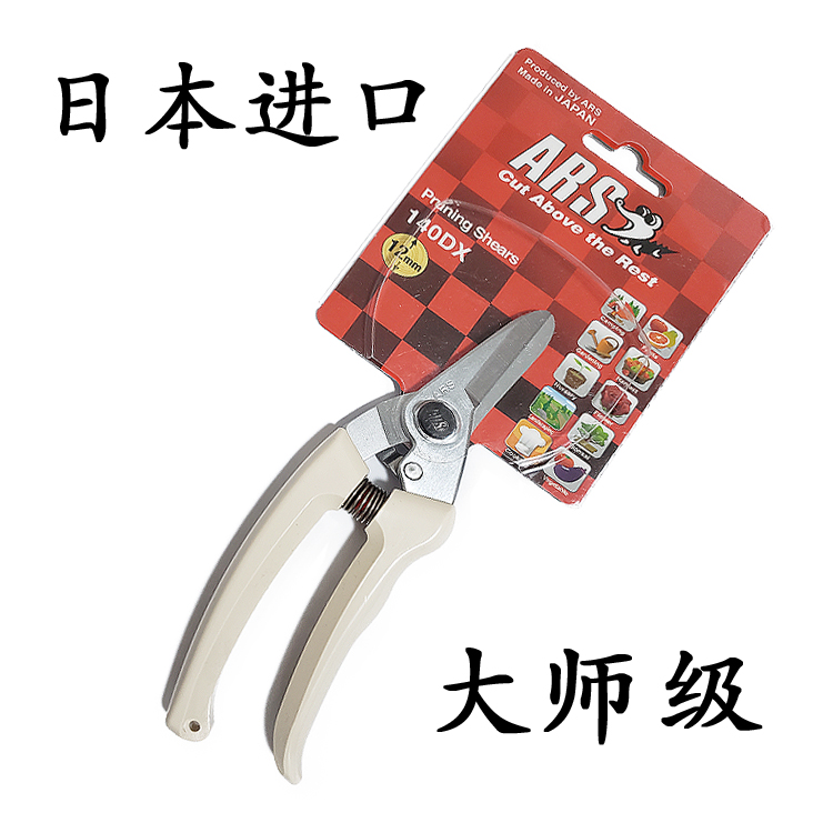 日本原装进口爱丽斯丝修