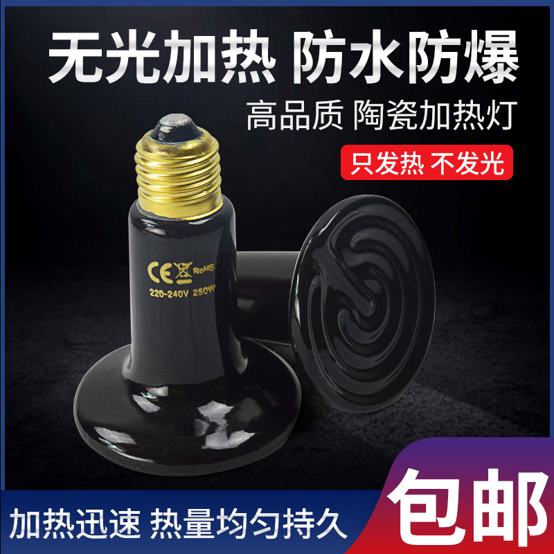 爬宠陶瓷加热灯无光灯取暖灯泡爬虫宠物蜥蜴晒背鹦鹉芦丁鸡保温灯