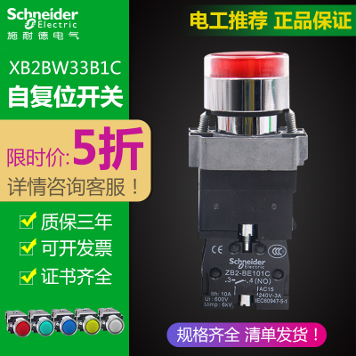 施耐德带灯按钮开关绿色