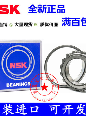 NSK进口 N 203 204 205 206 207 208 209 E W M C3 圆柱滚子轴承