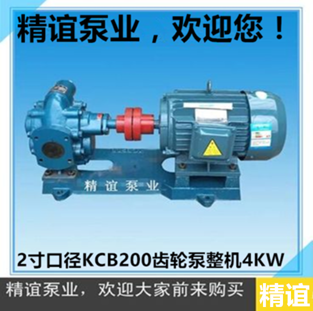 高温电动齿轮油泵自吸抽