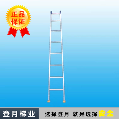 登月米加重厚铝合金单梯