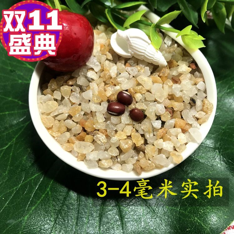 孔雀水族底沙景缸造荷兰