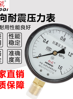 厂家直销红旗仪表耐震抗