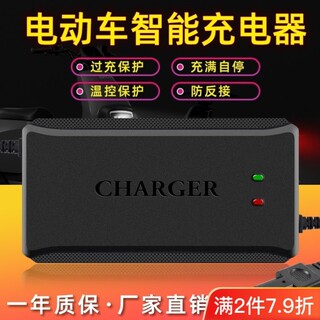 自动断电两轮三轮电动车电瓶车充电器48V60V72V超级快充电车通用