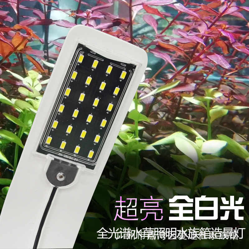 水族箱高亮度草灯蓝白光