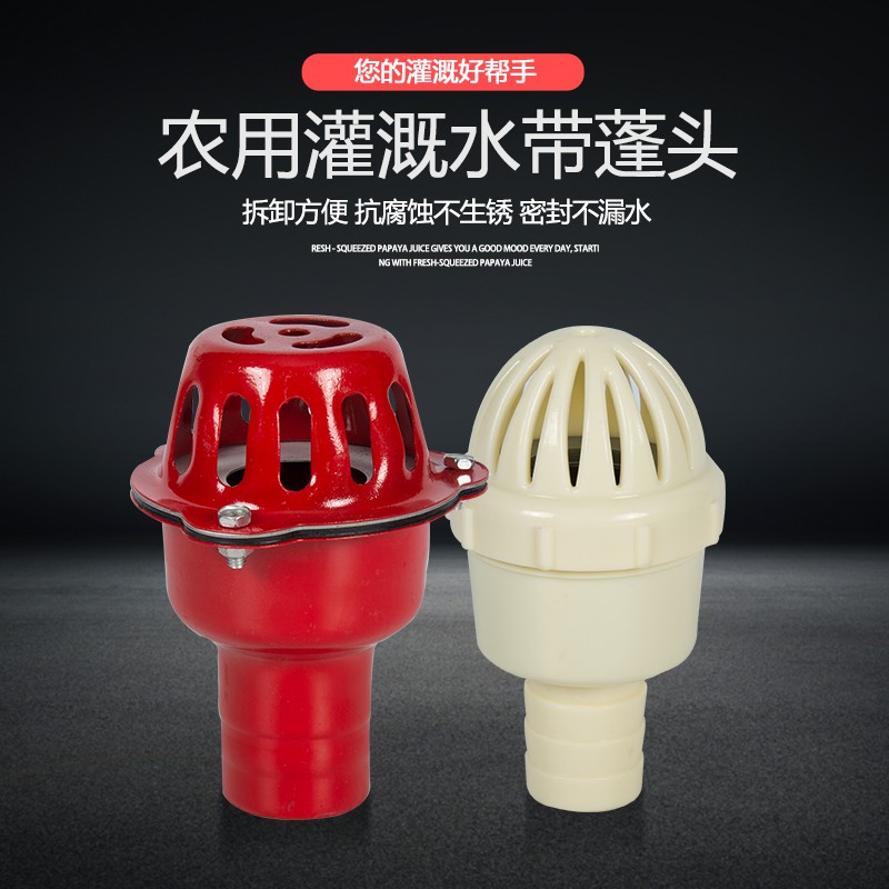 抽水管阀门1-8寸金属止回阀水泵底阀硬管过滤器塑料蓬头塑料铁皮图片