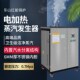 乐山红全自动不蒸锈钢电加热能汽发生器小型商用工业电蒸汽锅炉