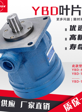 液压YBD叶片泵YBD-10 YBD-6/16/20/25/40/50/80/100油泵总成泵头/