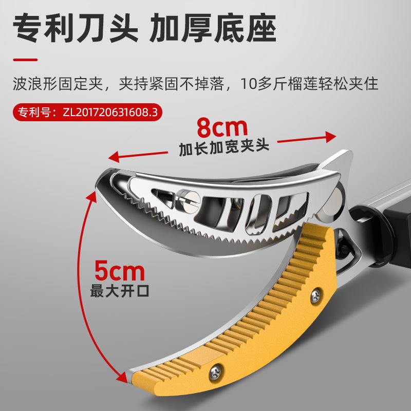 日本质造摘水果枇杷荔枝