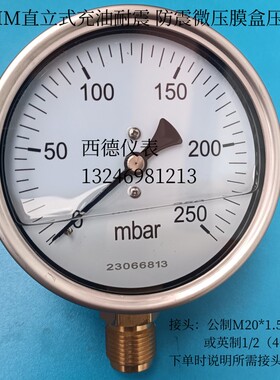 100MM直立式充油耐震 充油防震 膜盒微压表 0~250mbar微压气压表