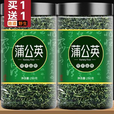 蒲公英茶新鲜叶特级野生