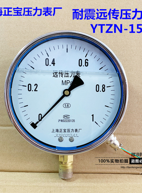 上海正宝仪表耐震抗电阻