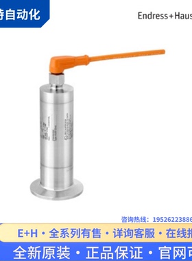 议价E+H恩德斯豪斯叉液位开关FTL33-AA4U3BBWSJ