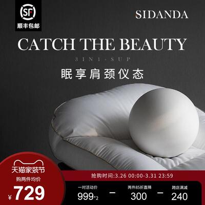 分区护颈羽绒枕头鹅芯支