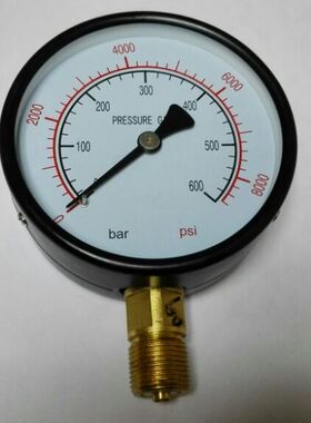 压力计100mm 双刻度压力显示表 pressuregauge 0-600bar 8000psi