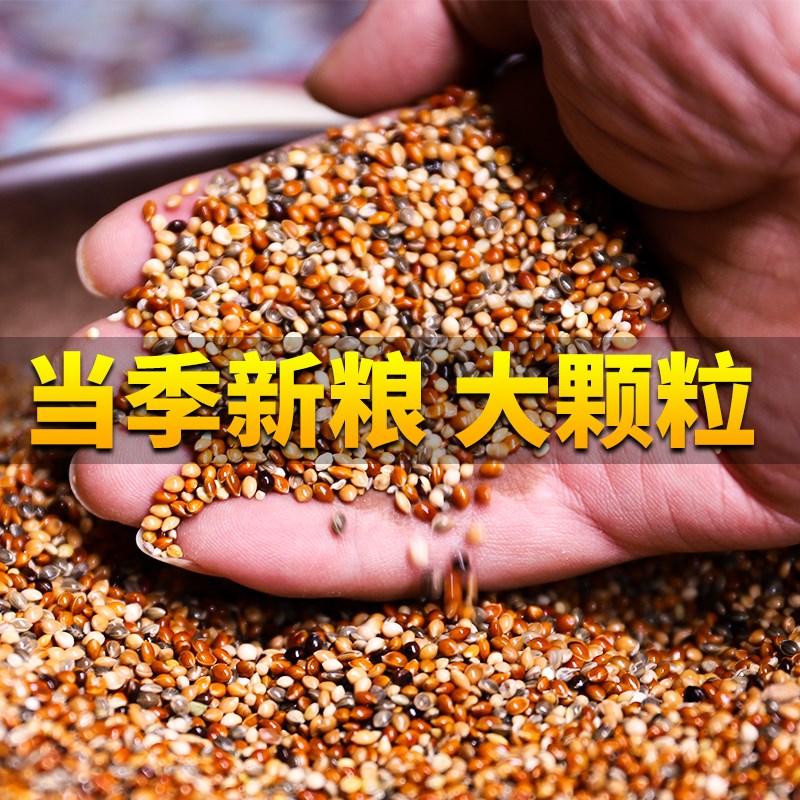 鹦鹉饲料鸟粮食玄凤虎皮