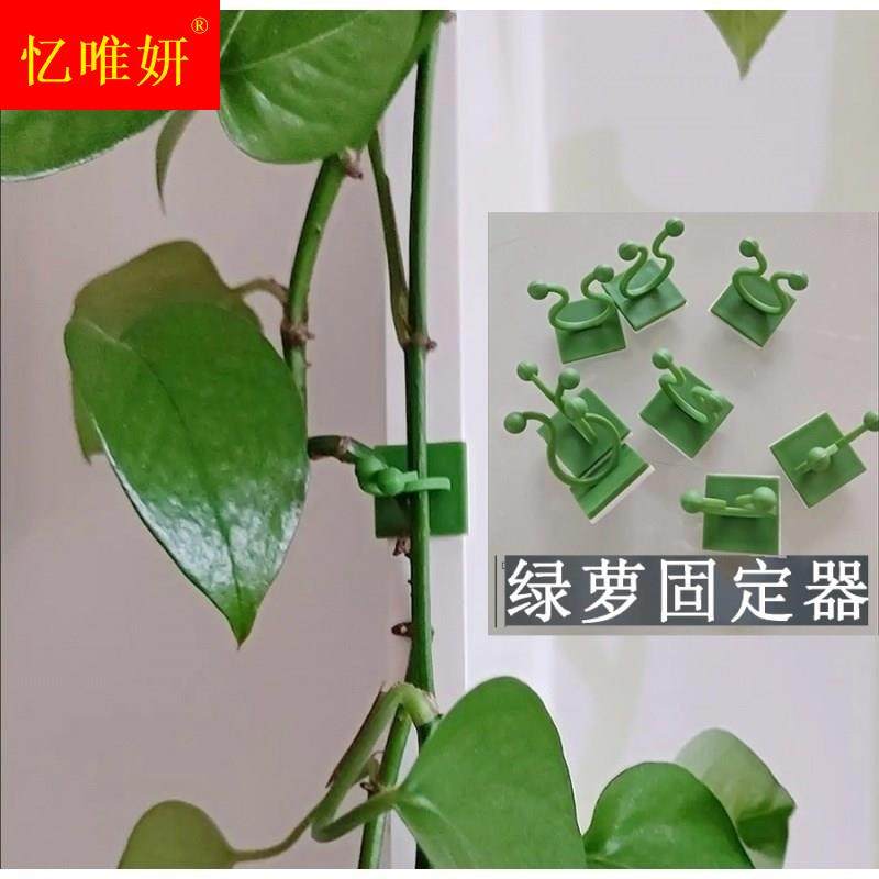 绿箩爬上神器绿萝爬墙固定器挂钩绿植上墙夹子卡子扣爬藤吸盘攀藤,农机/农具/农膜,叉,淘宝优惠券,粉丝福利购,淘宝优惠卷