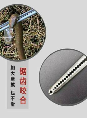 不锈钢黄鳝夹子抓泥鳅螃