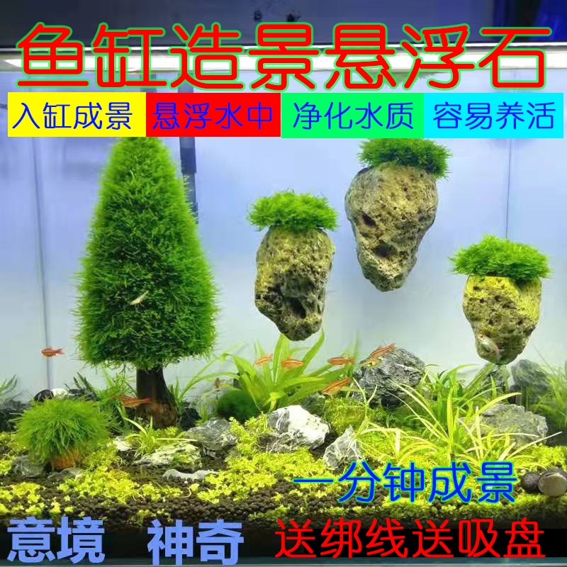 鱼缸造景天然浮石悬轻头