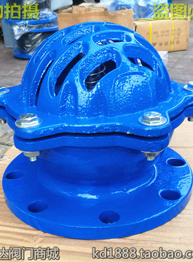 H42X-10球墨铸铁底阀蓝色法兰水泵底阀抽吸水阀3寸4寸6寸DN80 100