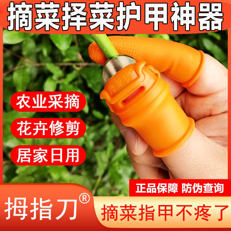 摘菜神器拇指刀择豆角采