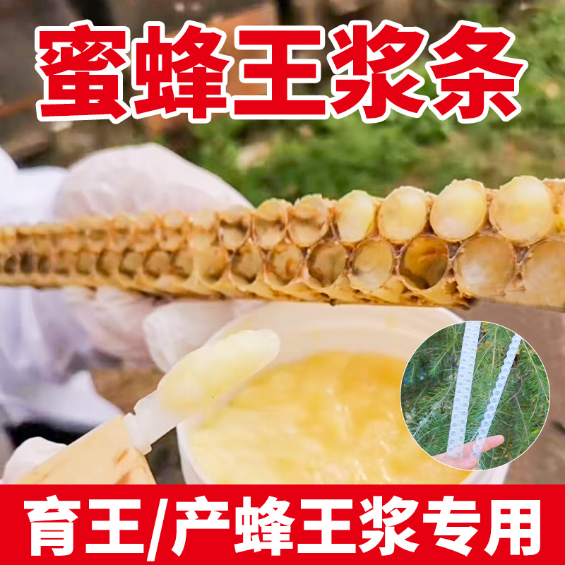 蜜蜂王浆条双排育王工具蜂王浆生产器中蜂取浆框养蜂单排意蜂产卵
