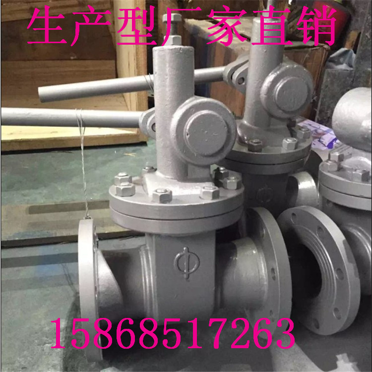 立信品牌铸钢不锈快速排