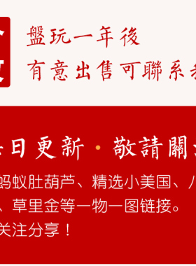精品天然大葫芦摆件家居真葫芦挂件镇家宅特大葫芦大中号一物一图
