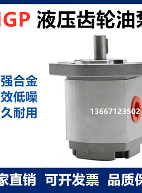 油泵HGP-3A-F8R F11R F13R F14R F17R F23R F25R 液压高压齿轮泵