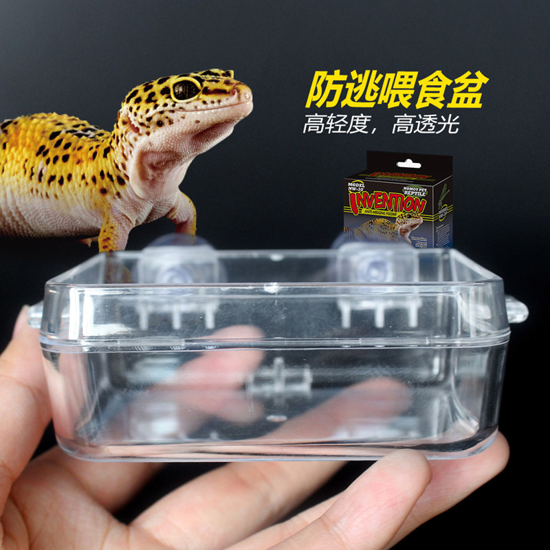 诺摩爬虫防逃喂食器食水盆防逃脱爬宠蜥蜴守宫鬃狮面包虫大麦虫