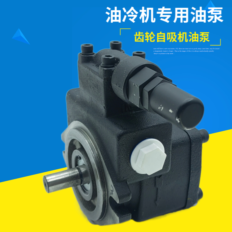 新款滤油摆线润滑油泵TOP