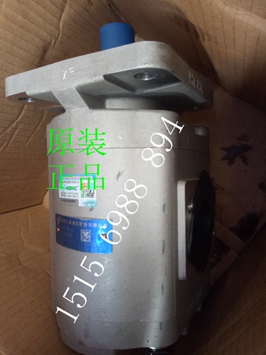 合肥长源CBG2100-BFP BFX BFHL原装正品长源液压齿轮油泵液压泵