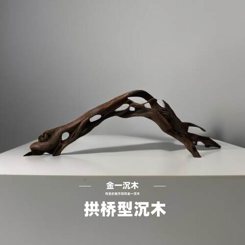 拱桥型沉木雷龙七彩神仙