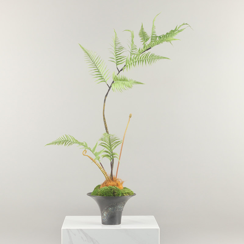 新中式简约意境造景仿真花艺金丝猴蕨金毛蕨树绿植茶室样板间装饰