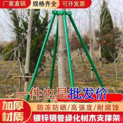 新款支撑架支撑杆固定苗支架器木扎带镀锌钢L定稳管三脚架大树园