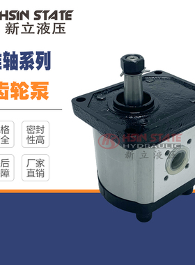 齿轮泵BHP2B0D12T0F1/D6/D10/D14/D16/D18/D20/D25/D28/D30T0F1